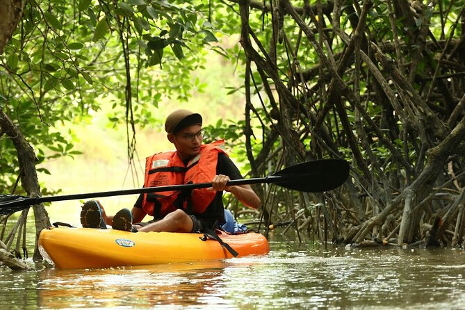 Lebam River Kayaking Adventure - Quick takeaways for your Desaru Coast day