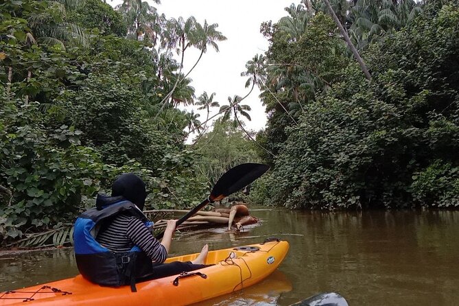 Lebam River Kayaking Adventure - Why the Lebam River is worth your morning