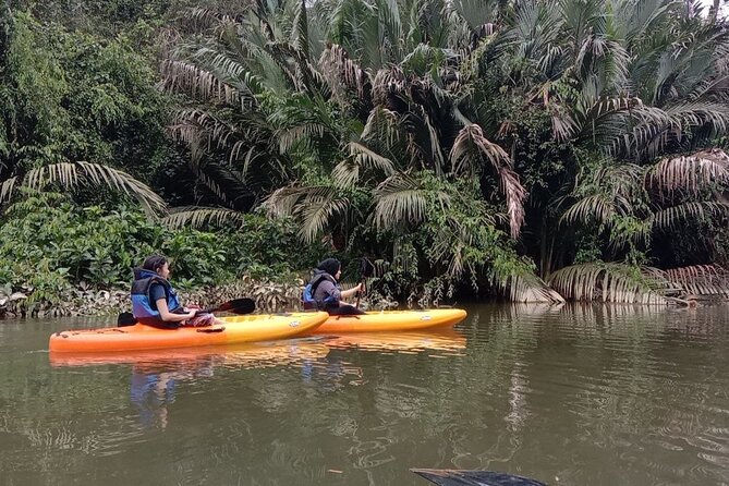 Lebam River Kayaking Adventure - The boat ride into Lebam’s interior