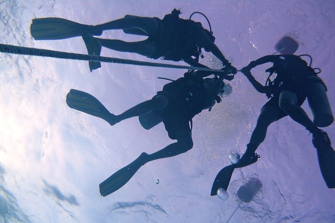 Leisure Diving | Fun Dives | 3 Dives in TARP, Kota Kinabalu - Who Will Get the Most from This Trip