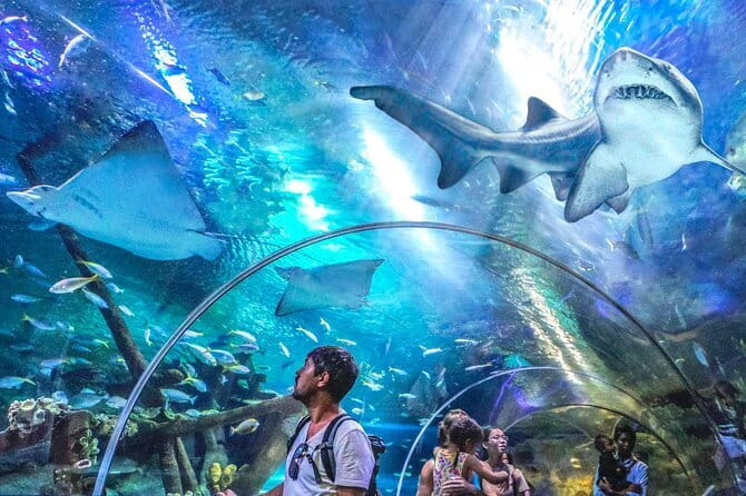 Malaysia: Aquaria KLCC Admission E-Ticket - Why Aquaria KLCC works well in a Kuala Lumpur day