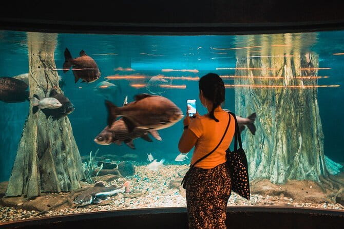 Malaysia: Aquaria KLCC Admission E-Ticket - Finding Aquaria beneath the convention centre