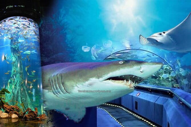 Malaysia: Aquaria KLCC Admission E-Ticket - Should you book Aquaria KLCC?