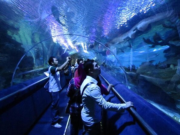 Malaysia: Aquaria KLCC Entry Ticket - What You Actually Get at Aquaria KLCC
