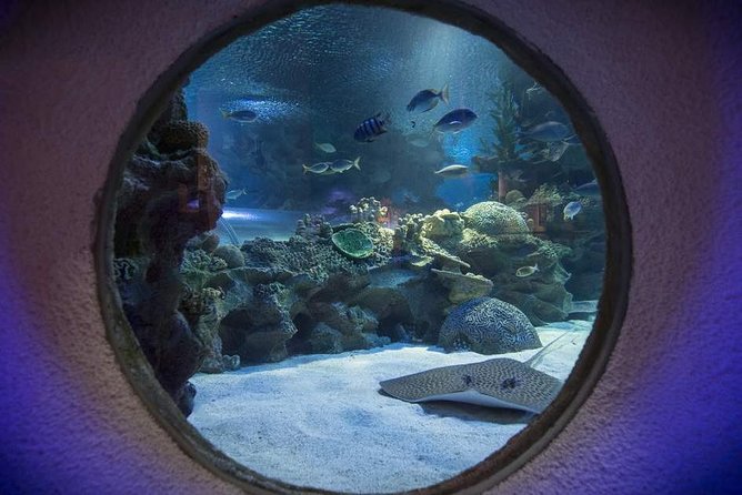 Malaysia: Aquaria KLCC Entry Ticket - Sharks, Rays, Turtles, and the Saltwater Tank