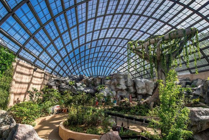 Malaysia: Discover Nature's Wonders with Entopia Entry Ticket - Vita Nova and the first flight of a butterfly