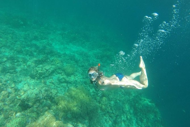 Mamutik + Sapi Island SnorkelingTrip from Kota Kinabalu - Group size, timing, and the port experience
