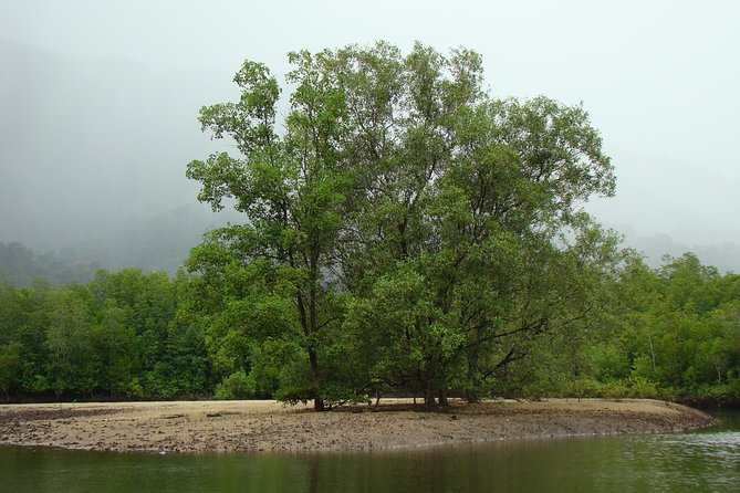 Mangrove River Cruise and Snorkeling Tour from Langkawi - Cruising among mangrove roots and old charcoal works