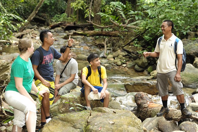 Morning Rainforest Walking from Langkawi - What the Langkawi rainforest walk is really about