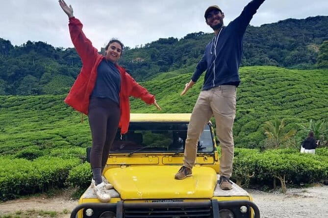 Mossy Forest in Brinchang Tour - Boh Tea Plantation: the day’s strongest all-round stop