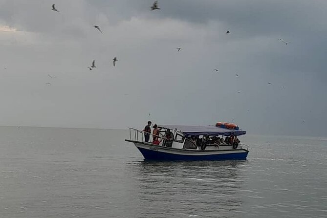 Mystical Nights: Fireflies & Blue Tears Adventure - Kuala Selangor seafood, with dinner at your own cost