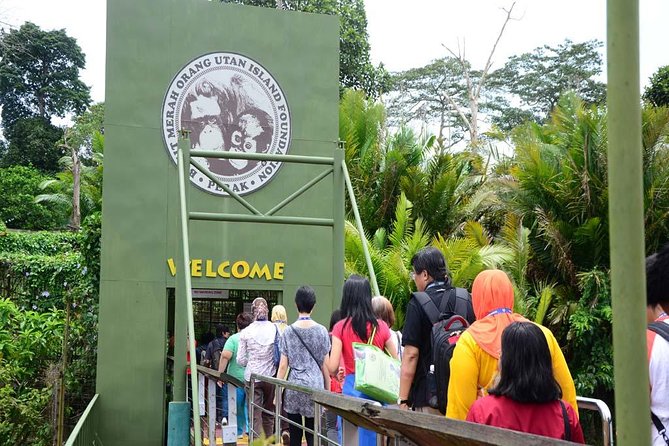 Orang Utan Island Day Tour - Ipoh’s limestone temple stop