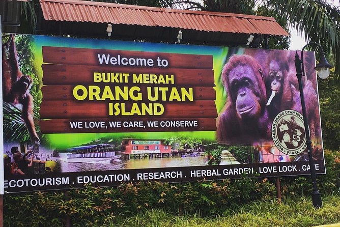 Orang Utan Island Day Tour (Private) - Cave temples and a small itinerary detail to check