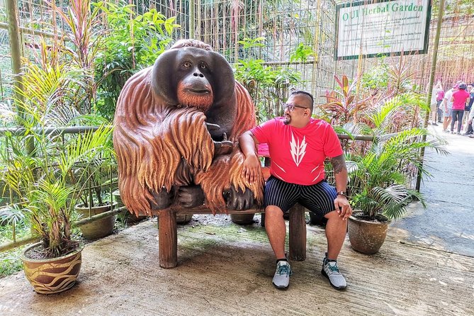 Orang Utan Island Day Tour (Private) - The Menora Tunnel, Perak River, and the road north