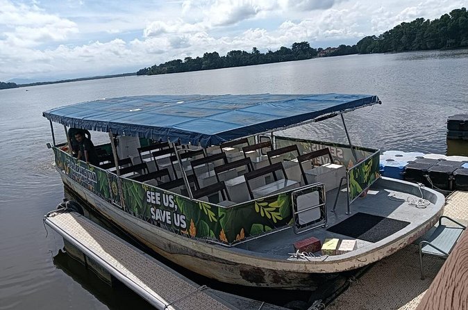 Orangutan Island, A Responsible Wildlife Sanctuary Experience - Three hours among rescued orangutans