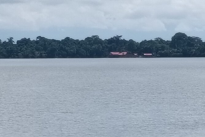 Orangutan Island, A Responsible Wildlife Sanctuary Experience - Is $153 per person good value?