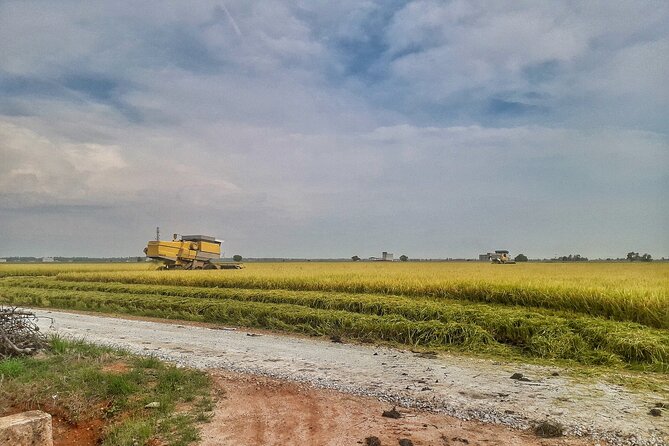 Paddy Field, Fishing Village Sekinchan DAY Tour Lunch (SIC-Shared/Join In Tour) - Seafood lunch at a local restaurant