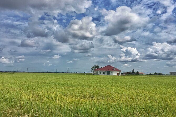 Paddy Field, Fishing Village Sekinchan DAY Tour Lunch (SIC-Shared/Join In Tour) - Who will enjoy this outing most