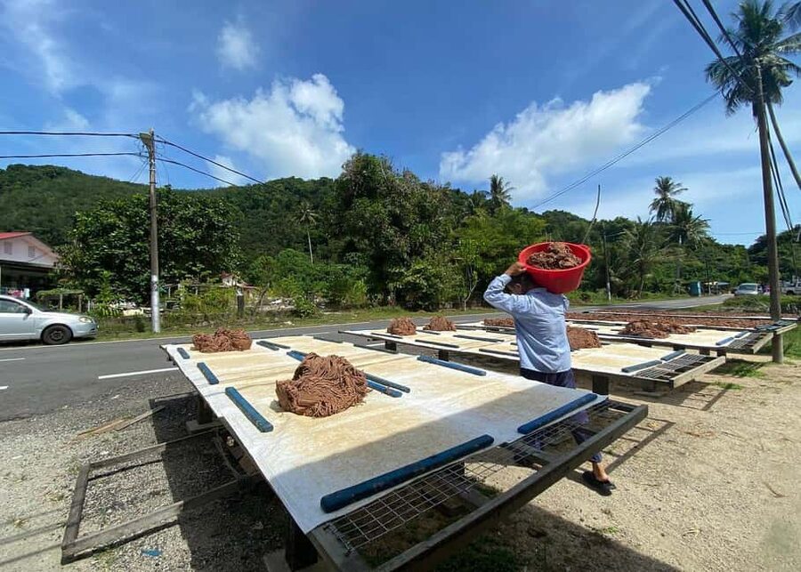 Penang: Balik Pulau Culture Experience & Village Tour - What $66 gets you