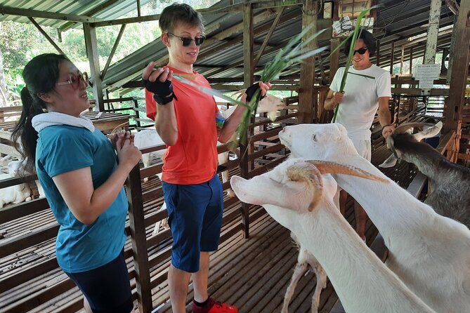 Penang Countryside Cycling Tour. PPA2 by Matahari - The 40-minute transfer to Kampung Permatang Pasir