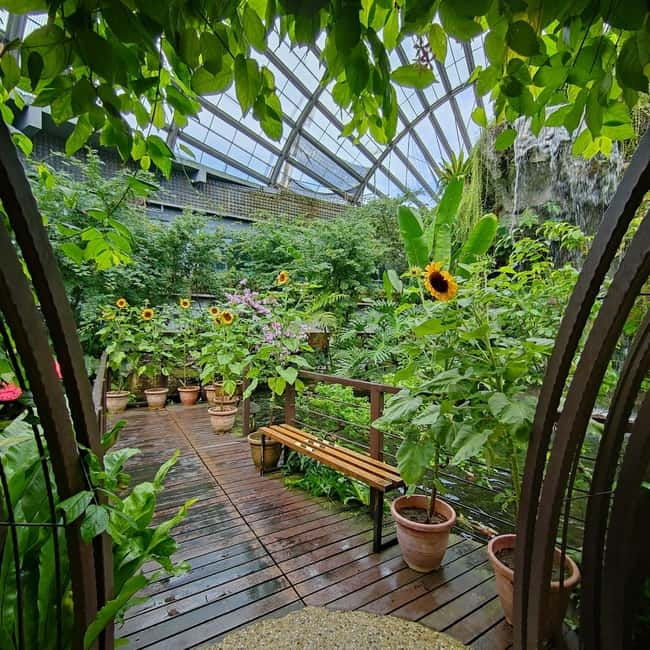 Penang: Entopia General Admission Tickets - Who will enjoy Entopia most
