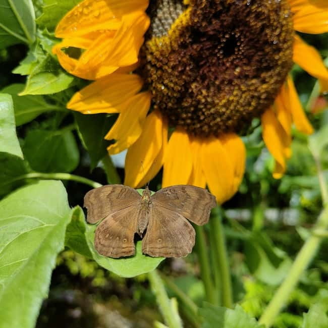 Penang: Entopia General Admission Tickets - Practical planning for a one-day visit
