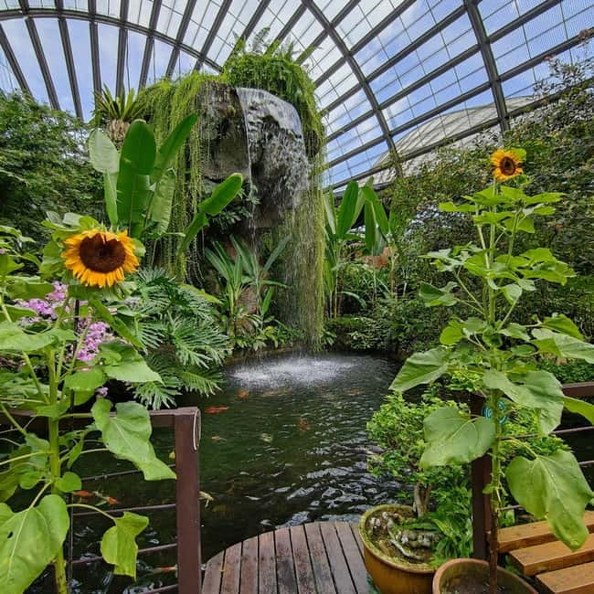 Penang: Entopia General Admission Tickets - The small details that improve the visit