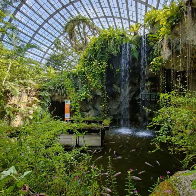 Penang: Entopia General Admission Tickets - Should you book Entopia?
