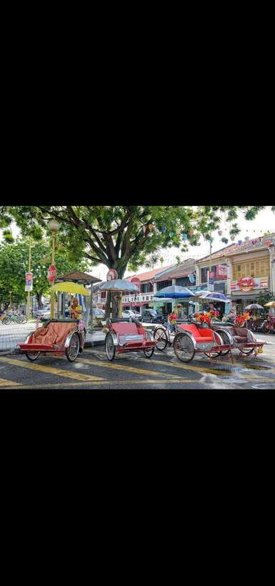 Penang: Exciting Local Half Day Private tour 6-10pax(5Hours) - Who will get the most from this tour