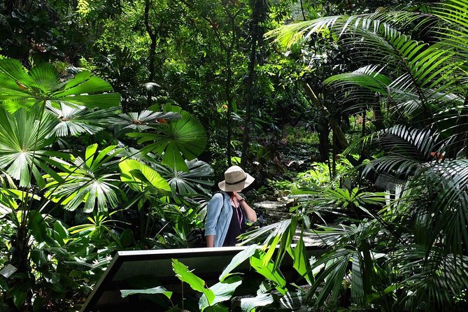Penang Round Island Tour With Tropical Spice Garden & Entopia Butterfly Farm - Why this half-day route works for Penang
