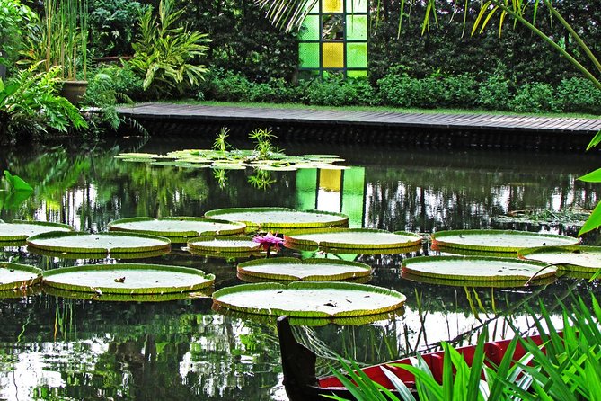 Penang Round Island Tour With Tropical Spice Garden & Entopia Butterfly Farm - Seeing batik at the Penang Batik Factory