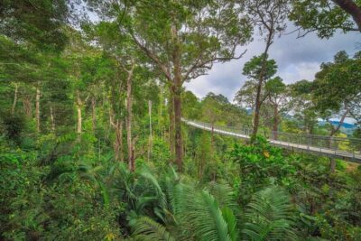 The Habitat Penang Hill Entry Ticket