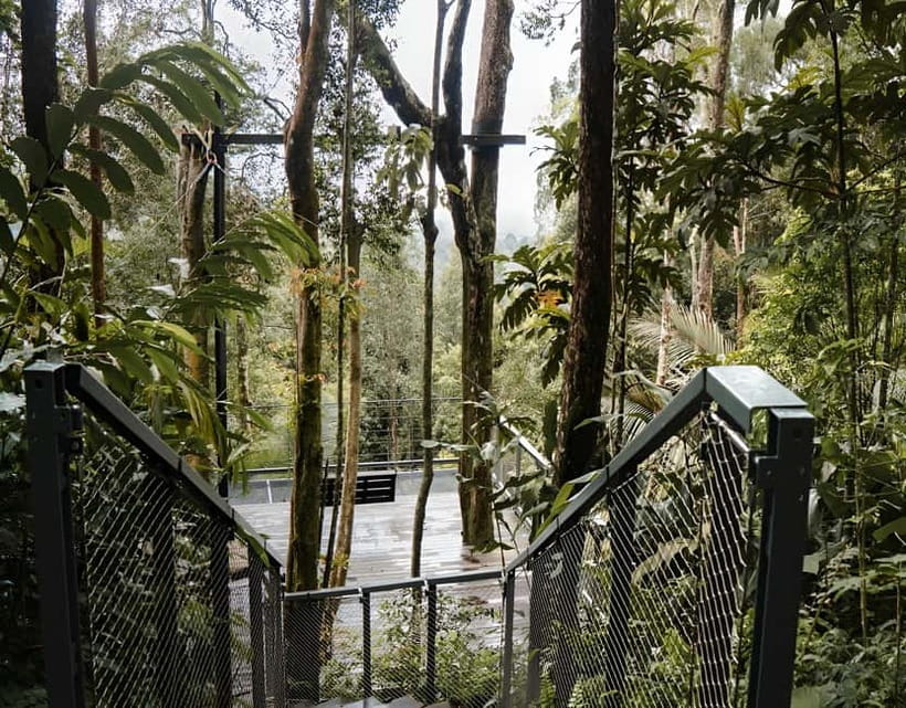 Penang: The Habitat Penang Hill Entry Ticket - The 1.6km trail and the old British path
