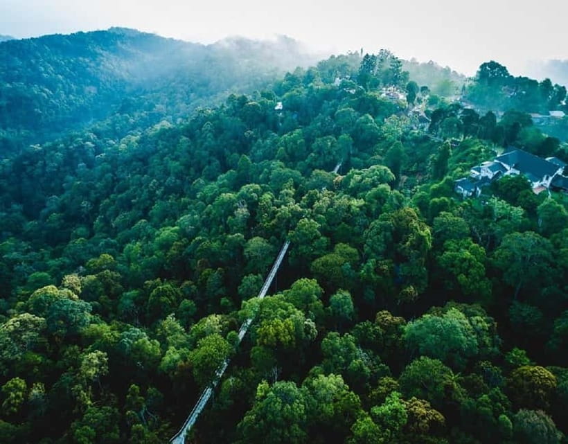 Penang: The Habitat Penang Hill Entry Ticket - Forest swings, monkeys, and slower moments