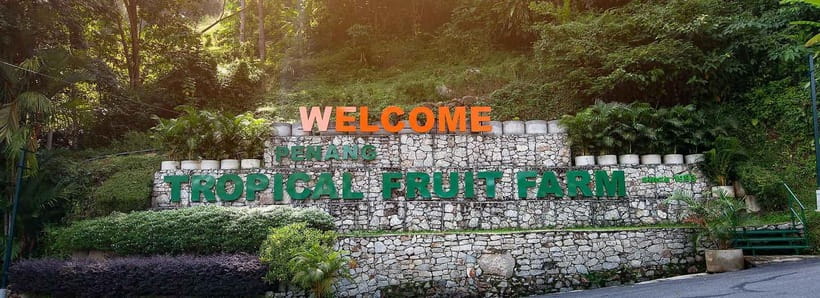 Penang: Tropical Fruit Farm Ticket - The tasting session is more than a fruit sample