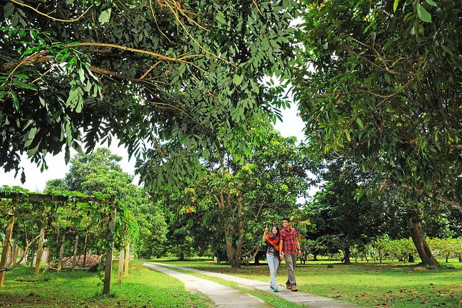 Penang Tropical Fruit Farm with Fruit Tasting - Why this fruit farm is worth a half-day in Penang