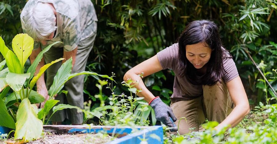 Penang: Tropical Spice Garden Entrance Ticket & Guided Tours - Entering the Eight-Acre Spice Garden