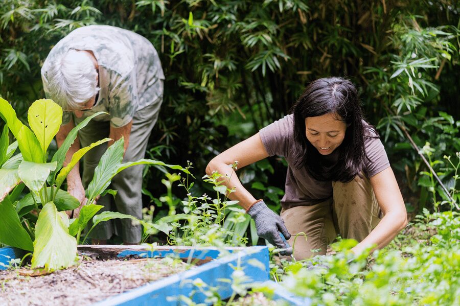 Penang: Tropical Spice Garden Entrance Ticket & Guided Tours - Learning What Grows in Penang