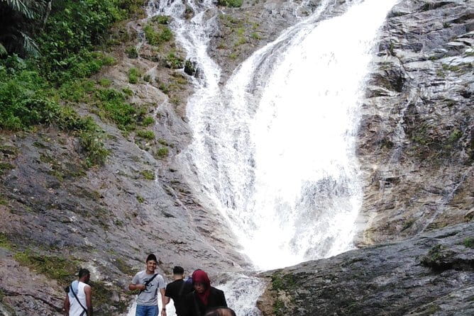 Private: Cameron Highlands 2 days 1 night Trip - Cameron Bharat brings the first tea views