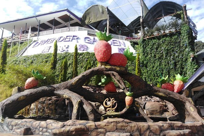 Private: Cameron Highlands 2 days 1 night Trip - Mossy Forest is the main reason to book