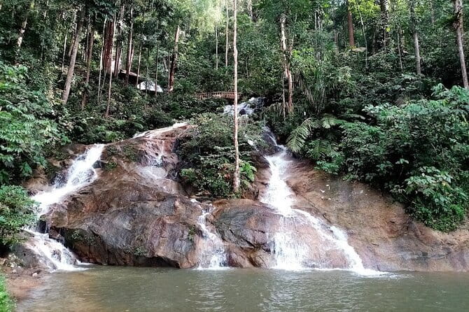 Private Fireflies Tour with Blue Tears and Seafood Dinner - Searching for the Blue Tears