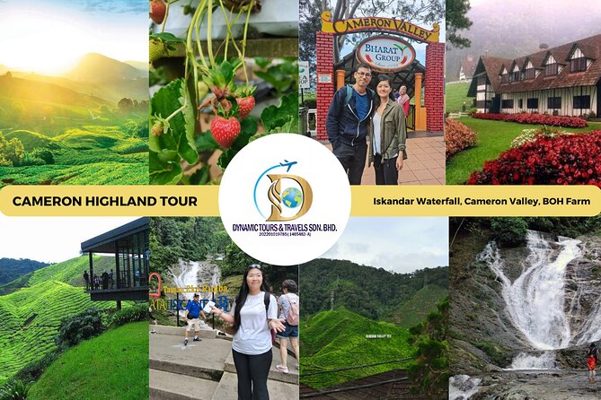 Private Full-Day Cameron Highlands Nature Tour from Kuala Lumpur - Key points to know before booking