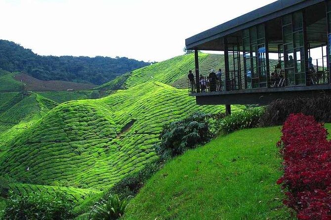 Private Full-Day Cameron Highlands Nature Tour from Kuala Lumpur - Why the Cameron Highlands make a worthwhile day trip