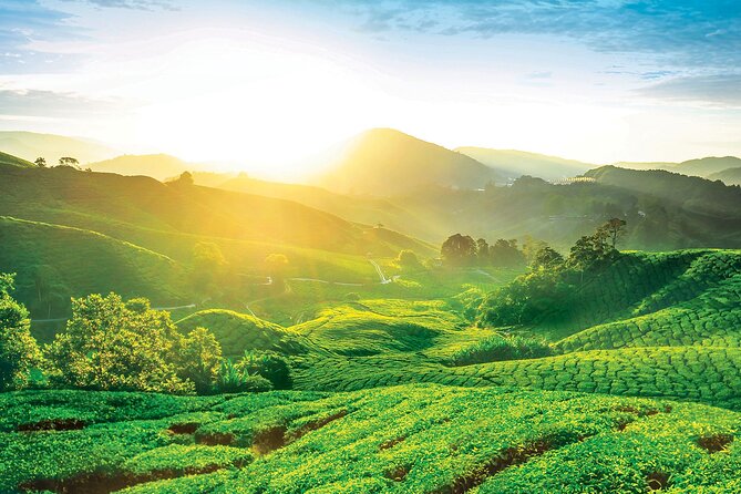 Private Full-Day Cameron Highlands Nature Tour from Kuala Lumpur - Lata Iskandar waterfall and roadside trade