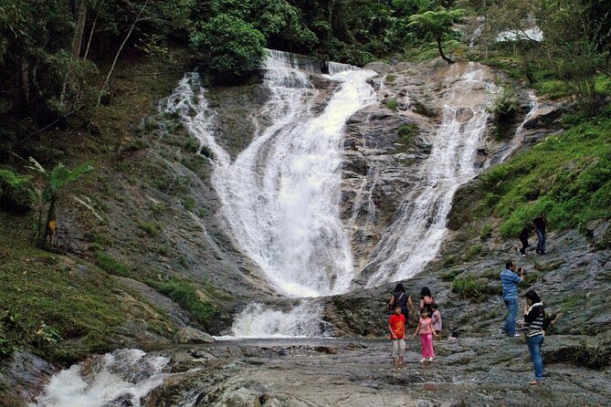 Private Full-Day Cameron Highlands Nature Tour from Kuala Lumpur - Brinchang, strawberries, flowers, and farm shops