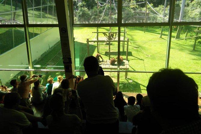 Private Full Day Sepilok Orang Utan, Bornean Sun Bear and Rainforest Discovery Center Tour - Next door with the Bornean sun bears