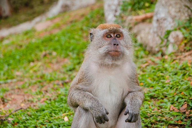 Private Kanching Waterfalls with Batu Caves & Ramayana Caves Tour - Should you book it?