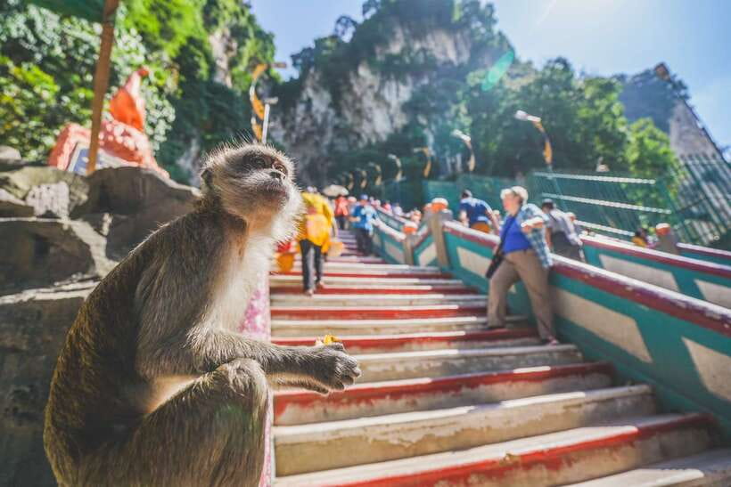 Private KL City Tour with Petronas Twin Towers & Batu Caves - Why this tour works for a first day in Kuala Lumpur