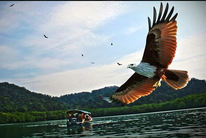 Private Langkawi Departure Transfer to Airport - The best use of the 24-hour schedule