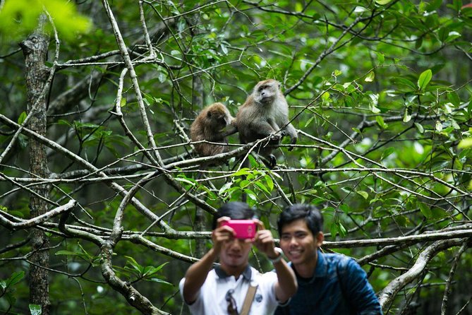Private Mangrove Tour 3 Hour (max 8 People) - Key points to know before you go